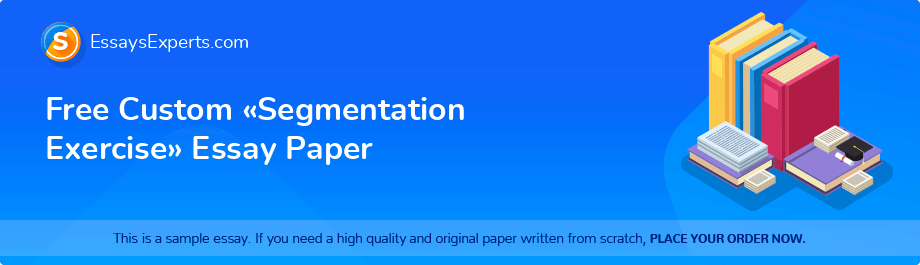 Free Custom «Segmentation Exercise» Essay Paper