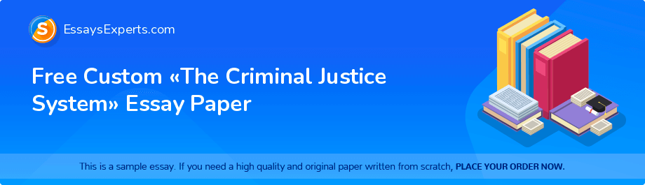 Free Custom «The Criminal Justice System» Essay Paper